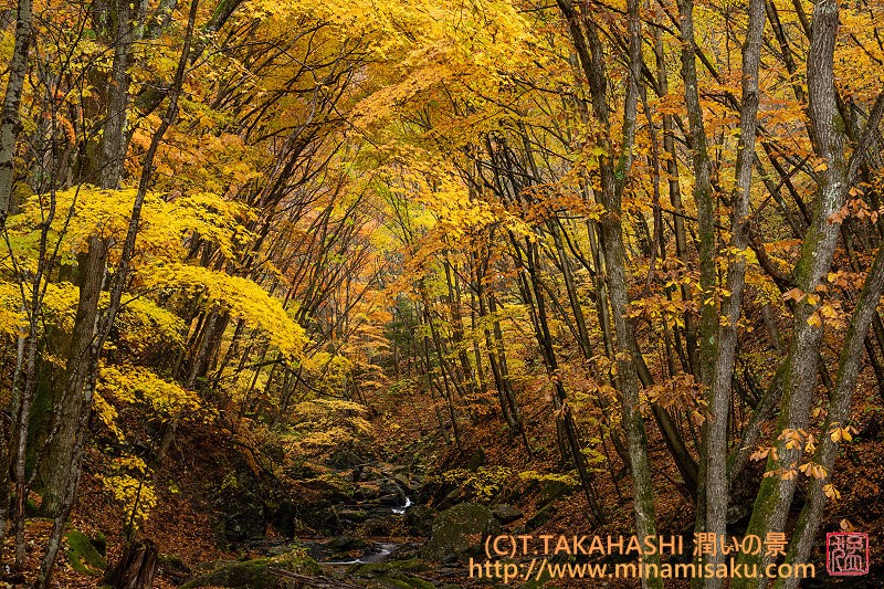 ../Images/7R251109 (274).jpg